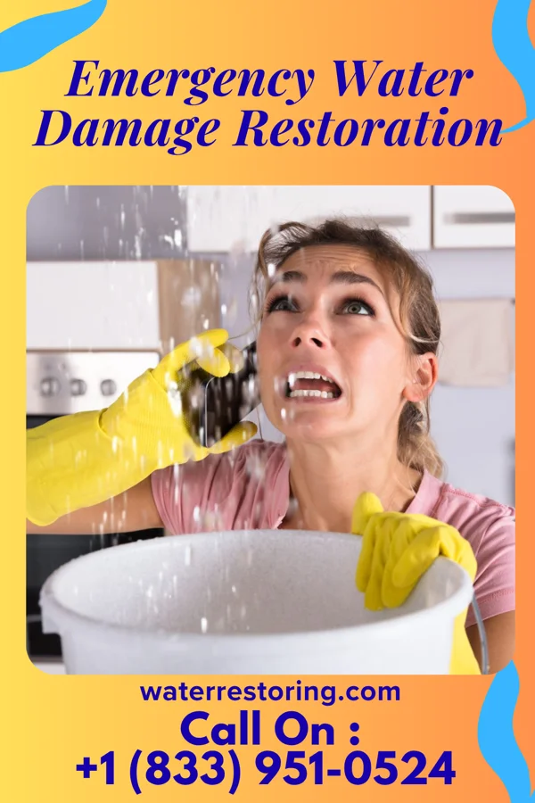 Emergency Water Damage Restoration in Mont Belvieu, TX